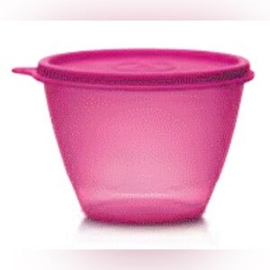 Tupperware Refrigerator Bowl in Surprise Colour